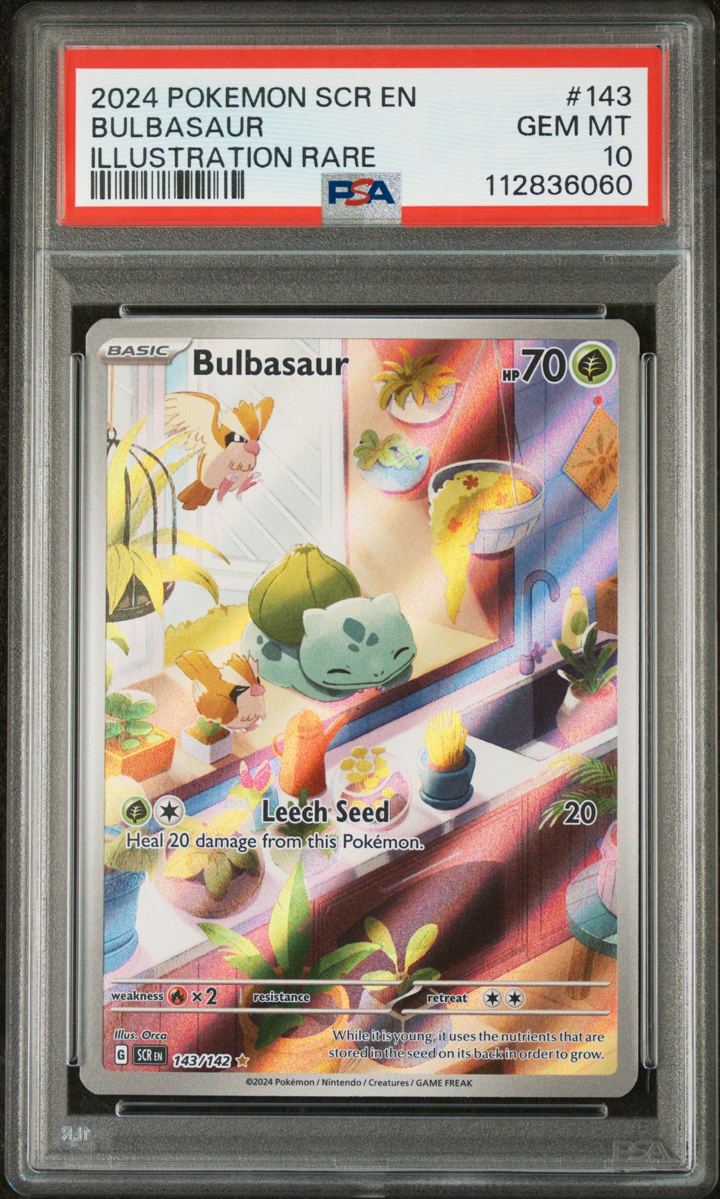 Bulbasaur #143 - Stellar Crown – PSA 10